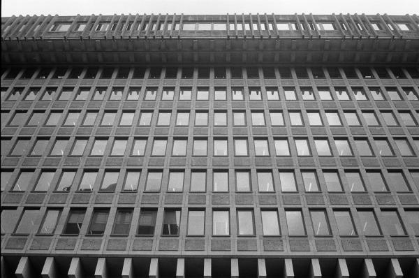 35mm film, Kentmere Pan 200, London, 2025