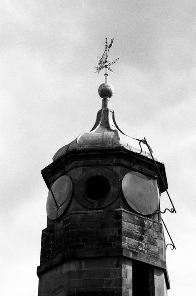 35mm film, Fomapan 200, Norfolk, 2024