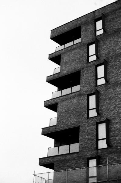 35mm film, Fomapan 200, Norfolk, 2024