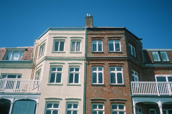 35mm film, FujiFilm Provia 100, Suffolk, 2025